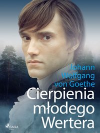 Cierpienia młodego Wertera - Johann Wolfgang von Goethe - ebook