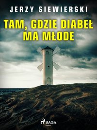 Tam, gdzie diabeł ma młode - Jerzy Siewierski - ebook