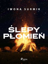 Ślepy płomień - Iwona Surmik - ebook