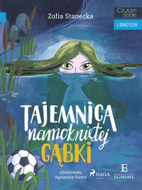 Tajemnica namokniętej gąbki - Zofia Stanecka - ebook