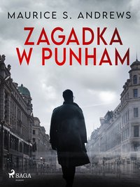 Zagadka w Punham - Maurice S. Andrews - ebook