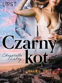 Czarny kot - opowiadanie erotyczne - Chrystelle Leroy - ebook