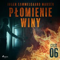 Płomienie winy: część 6 - Inger Gammelgaard Madsen - audiobook