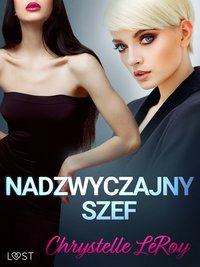 Nadzwyczajny szef - opowiadanie erotyczne - Chrystelle Leroy - ebook