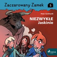 Zaczarowany Zamek 5 - Niezwykłe Jaskinie - Peter Gotthardt - audiobook