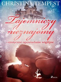 Tajemniczy nieznajomy - erotyczne opowiadanie wigilijne - Christina Tempest - ebook