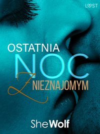 Ostatnia noc z nieznajomym – opowiadanie erotyczne - SheWolf - ebook