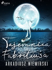 Tajemnica Fabritiusa - Arkadiusz Niemirski - ebook