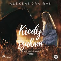 Kiedy szukam - Aleksandra Rak - audiobook