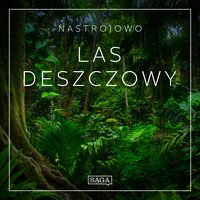 Nastrojowo - Las Deszczowy - Rasmus Broe - audiobook