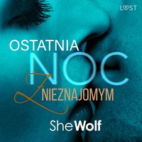 Ostatnia noc z nieznajomym – opowiadanie erotyczne - SheWolf - audiobook