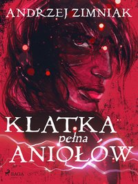 Klatka pełna aniołów - Andrzej Zimniak - ebook