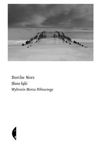 Słone łąki - Dorthe Nors - ebook