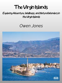The Virgin Islands - Owen Jones - ebook