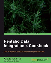 Pentaho Data Integration 4 Cookbook - Adrián Sergio Pulvirenti - ebook