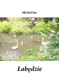 Łabędzie - Michał Sar - ebook