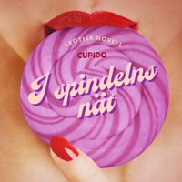 I spindelns nat - Opracowanie zbiorowe - audiobook