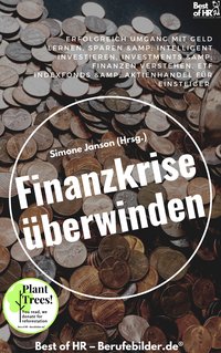 Finanzkrise überwinden - Simone Janson - ebook