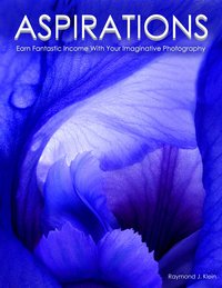 Aspirations - Raymond J. Klein - ebook