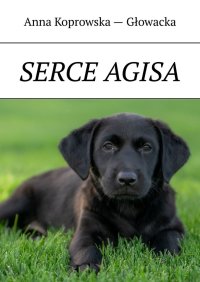 Serce Agisa - Anna Koprowska - Głowacka - ebook