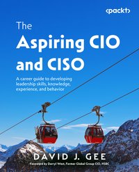 The Aspiring CIO and CISO - David J. Gee - ebook