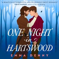 One Night in Hartswood - Emma Denny - audiobook