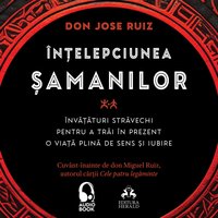 Intelepciunea samanilor - Ruiz don Jose Ruiz - audiobook