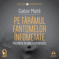 Pe taramul fantomelor infometate - Mate Gabor Mate - audiobook