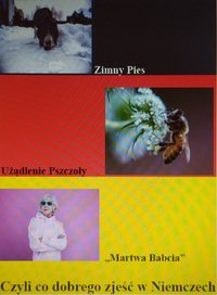 Zimny Pies, Użądlenie Pszczoły, Martwa Babcia - czyli co dobrego zjeść w Niemczech - Marcin Piotrowicz - ebook