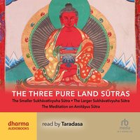The Three Pure Land Sutras - Anonymous - audiobook