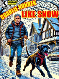 Like Snow - Charlie Kondek - ebook