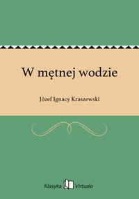 W mętnej wodzie - Józef Ignacy Kraszewski - ebook