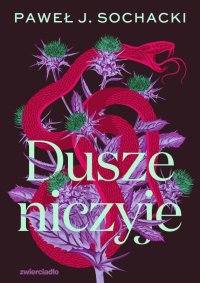 Dusze niczyje - Paweł J. Sochacki - ebook