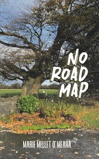 No Road Map - Marie Mellett O'Meara - ebook