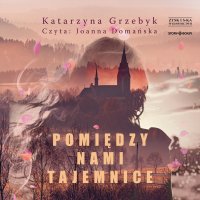 Pomiędzy nami tajemnice - Katarzyna Grzebyk - audiobook