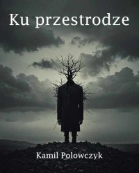 Ku przestrodze - Kamil Polowczyk - ebook