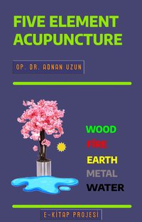 Five Element Acupuncture - Op. Dr. Adnan Uzun - ebook