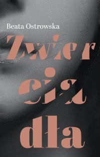 Zwierciadła - Beata Ostrowska - ebook