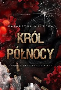 Król północy - Katarzyna Małecka - ebook