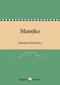 Matejko - Stanisław Witkiewicz - ebook