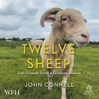 Twelve Sheep - John Connell - audiobook