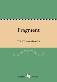 Fragment - Zofia Trzeszczkowska - ebook