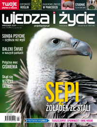 Wiedza i Życie nr 9/2024 - Opracowanie zbiorowe - eprasa