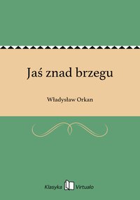 Jaś znad brzegu - Władysław Orkan - ebook