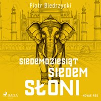 Siedemdziesiąt siedem słoni - Piotr Biedrzycki - audiobook