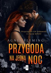 Przygoda na jedną noc - Agnes Fleming - ebook