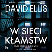 W sieci kłamstw - David Ellis - audiobook