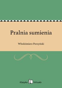 Pralnia sumienia - Włodzimierz Perzyński - ebook