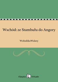 Wschód: ze Stambułu do Angory - WołodźkoWalery - ebook