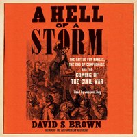 Hell of a Storm - David S. Brown - audiobook
